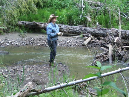 creekbed
