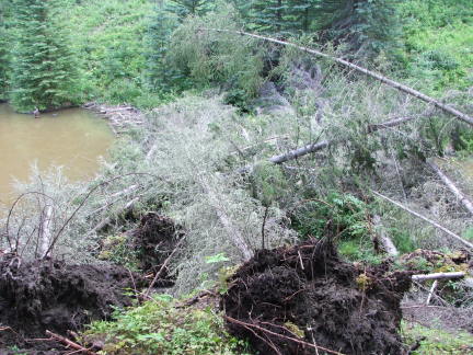 dam2