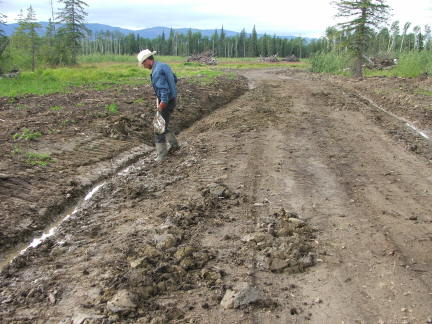 ditch