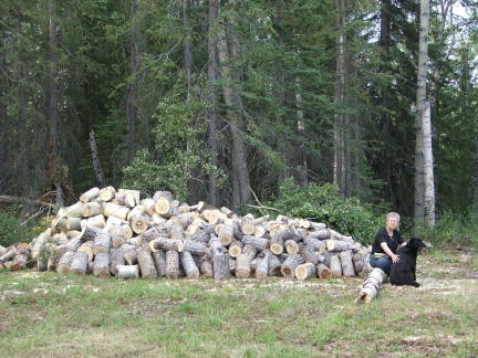 woodpile