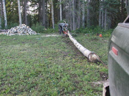 firewood