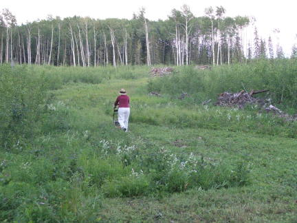 mowing