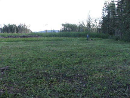 theyard