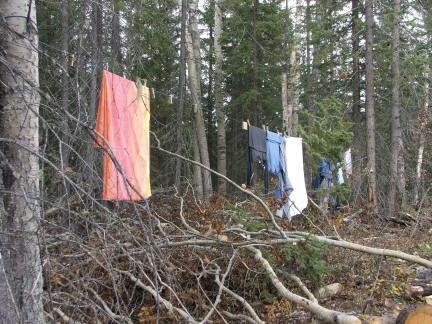 clothesline
