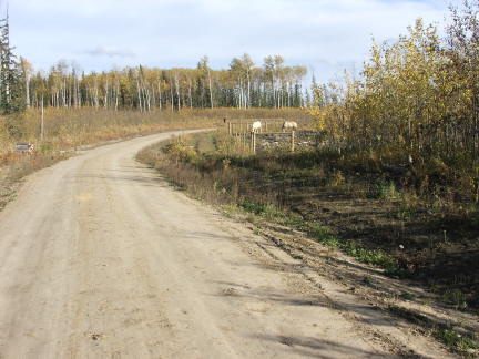 driveway1