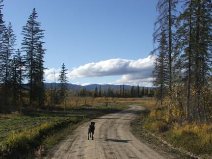 driveway2