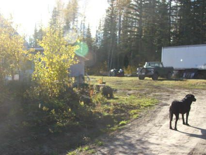 driveway4