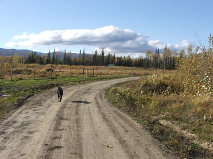 driveway5