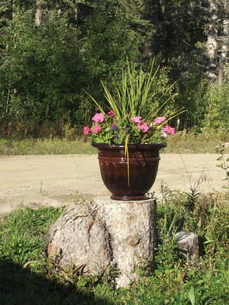 flower