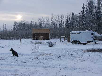 snow