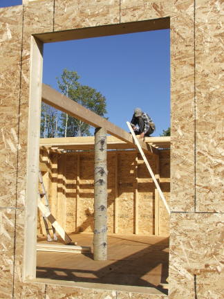 ceiljoist1