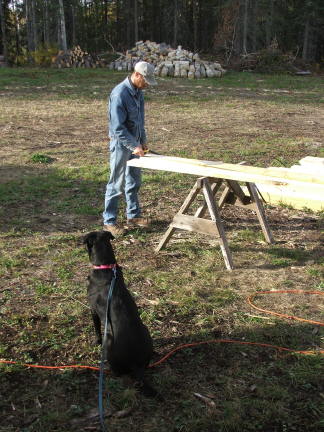 rafter2