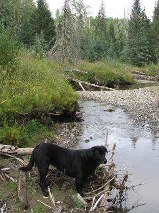 sissycreek