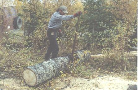 Moving a log