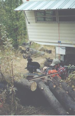 Sharpening the chain saw